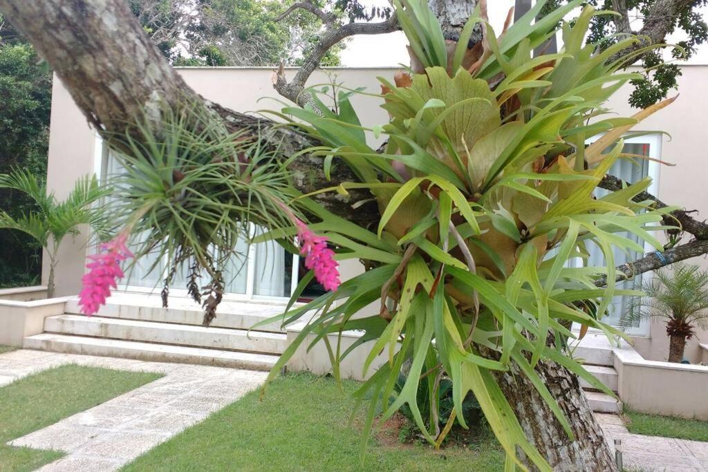Buzios Requinte & Sofisticacao Villa Exterior foto